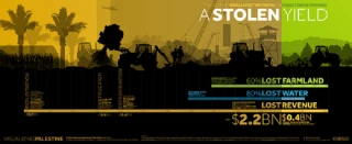 The Cost of Israeli Restrictions on Palestinian Farming