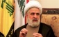 پیام تسلیت حزب الله لبنان درپی شهادت جمعی از فرزندان اسماعیل هنیه در حملات رژیم صهیونیستی