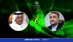 أمير عبداللهيان: كيان الاحتلال الصهيوني هو المصدر الرئيسي لانعدام الأمن بالمنطقة 2