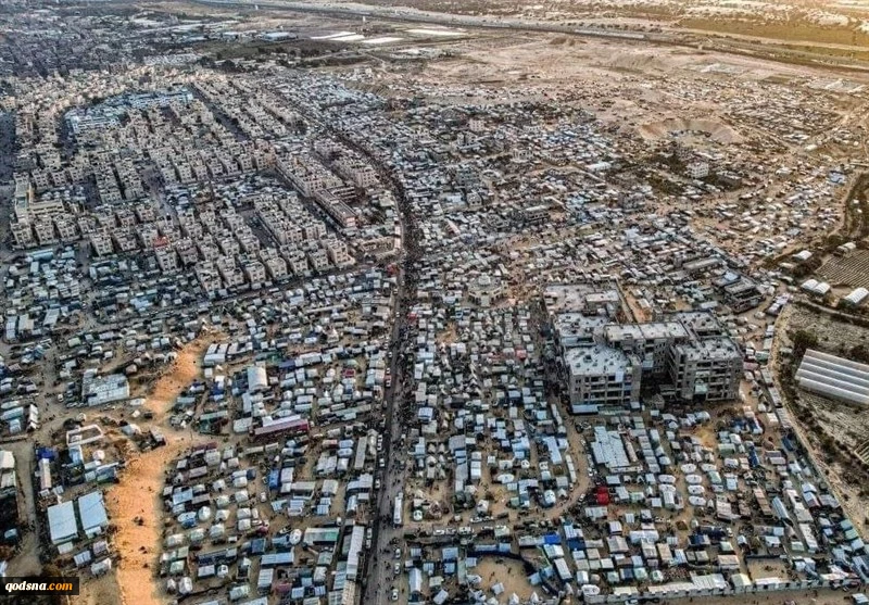 منظمة الصحة العالمية تحذر من شن هجوم عسكري على مدينة رفح 
 2
