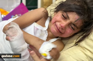 Gaza: Martyr toll surges to 35,647 martyrs