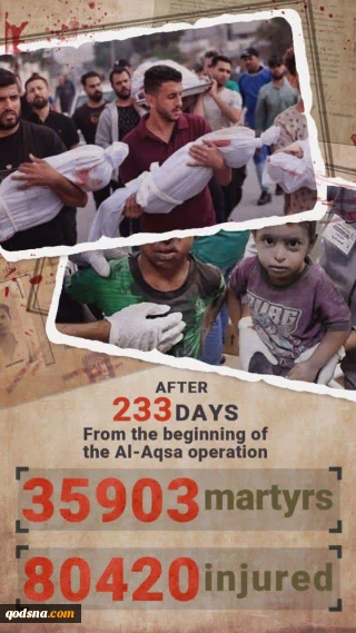 The scale of Zionist atrocities in numbers