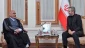 Iran acting FM:

Muslim elite must put pressure on Zionists to end Gaza war