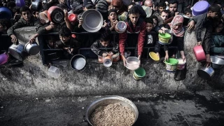 UN rapporteur calls for imposing sanctions on Zionist regime
