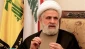 Hezbollah official:

Gaza ceasefire only way to calm Lebanon borders