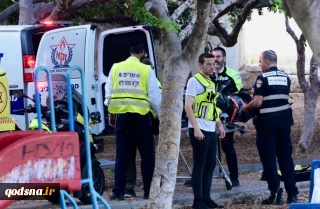 Palestinian Resistance Committees:

Zionists got slap in face in Tel Aviv stabbing