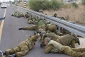 Zionist analyst:

Israelis cannot sleep amid fears of Iran retaliation