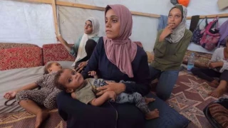 WHO announces three-day pause in Gaza war for polio vaccination