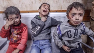 UNRWA: Over 625,000 school-aged children in Gaza experiencing severe psychological trauma