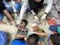 Gaza: Death toll surges to 41,825 martyrs