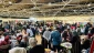 19th Annual Palestine Festival in London: A day of solidarity amid tragedy