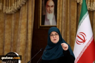 مهاجرانی: بازگشایی سفارت ایران،بستگی به عملکرد حاکمان سوریه دارد