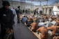 Sick captives face double suffering in Negev prison during cold winter