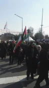 Iranians show support for Palestine