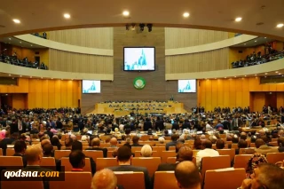 Hamas values African Summit’s strong stance against Israel’s atrocities in Gaza