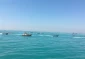 در آستانه روز جهانی قدس برگزار شد: 

رژه 3 هزار شناور دریایی سپاه  2