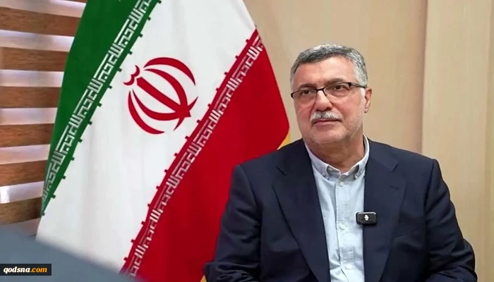 وزير الصحة الايراني يؤكد ضرورة التحرك العاجل لوقف جرائم الكيان الصهيوني في غزة 2