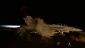US war machine takes Yemen under 22 new attacks