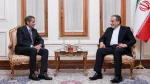 IAEA can play crucial role in peaceful settlement of Iran’s nuclear file: FM Araghchi
 2