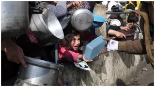 WFP: Two million in Gaza entirely dependent on aid