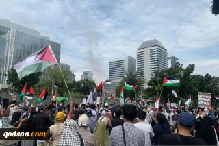 Cries for Palestine echo worldwide amid Gaza war