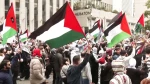 Day of Rage: 

Hamas calls on all Palestinians to attend pro-Gaza rallies
 2