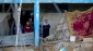UN experts call for immediate global action to halt Israel’s annihilation of life in Gaza