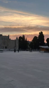 تصاویری از صبح زیبای مسجد الاقصی