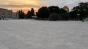 تصاویری از صبح زیبای مسجد الاقصی 6