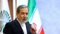 سخنرانی وزیر خارجه در «مجمع گفتگوی تهران»
عراقچی: اجازه ندهیم آینده منطقه ما در اتاق‌های فکر قدرت‌های فرامنطقه‌ای شکل بگیرد 2