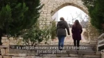 Israel detains 17-year-old Palestinian girl in overnight raid