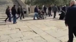 Suasana Menjelang Shalat Jumat di Masjid al-Aqsa
