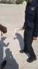 شرطي صهيوني يقتحم مصلى باب الرحمة بحذائه