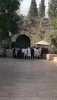 مستوطنون يرقصون ويغنون قرب باب الأسباط بالقدس المحتلة