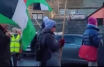 راهپیمایی حمایت از فلسطین  در شهر انس، اتریش