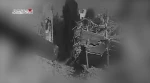 کتائب القسام شاخه نظامی حماس تصاویری از لحظه به دام انداختن تانک‌های صهیونیستی در شمال نوار غزه منتشر کرد