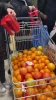 راه‌اندازی کمپینی در فرانسه برای تحریم کالاهای صهیونیستی و شرکت‌های حامی آن