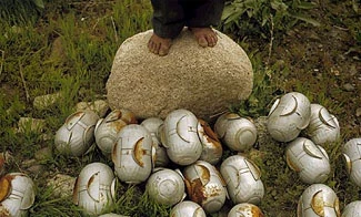 Israel closes Lebanon cluster bomb probe