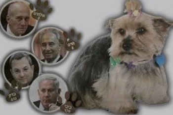 باراک اشهر الکلاب فی اسرائیل یلیه نتنیاهو