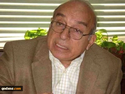 للکاتب والمفکر المصری فهمی هویدی :الجدار حمایة لأمن إسرائیل