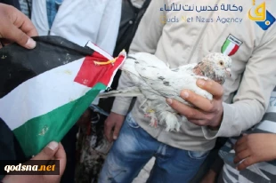 اهتزاز پرچم فلسطین بر دیوارهای قدس