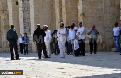 هشدار در مورد فراخوان صهیونیست ها برای ورود گسترده به مسجد الاقصی
