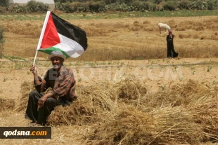 بزرگداشت یوم النکبه درتصویر 1