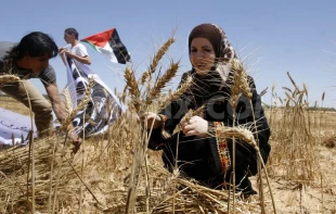 بزرگداشت یوم النکبه درتصویر 1