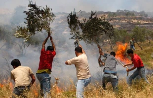 ادامه آزارهای صهیونیستها علیه فلسطینیان