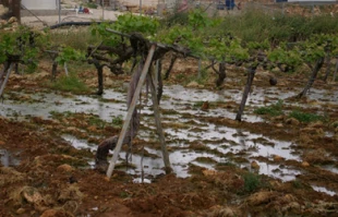 یک سوم تصفیه خانه های