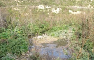 یک سوم تصفیه خانه های