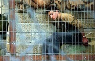 رجوع به دیوان بین المللی راه احقاق حقوق