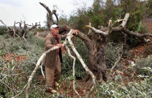 ارتش اسراییل محیط زیست کرانه باختری را آلوده میکند