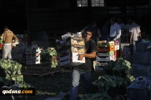 روسیه میوه و سبزیجات از فلسطین وارد می کند